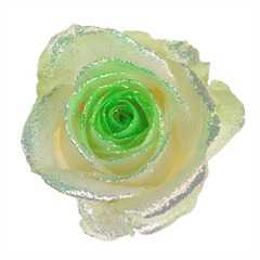 Avalanche Bling Bling Green Rose