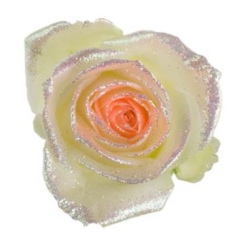 Avalanche Bling Bling Orange Rose