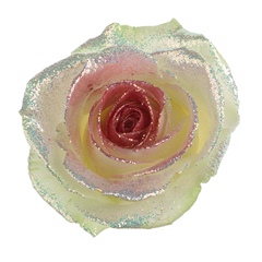 Avalanche Bling Bling Red Rose