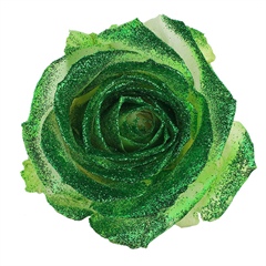 Avalanche Crystal Look Green Rose