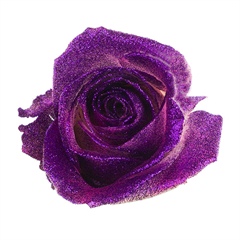 Avalanche Crystal Look Purple Rose