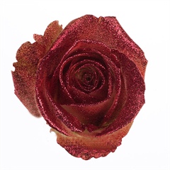 Avalanche Crystal Look Red Rose