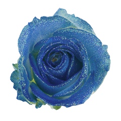 Avalanche Glitter Look Blue Rose