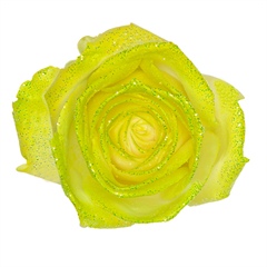 Avalanche Glitter Look Lime Rose