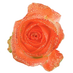 Avalanche Glitter Look Orange Rose