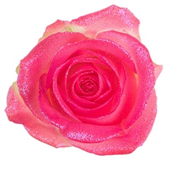 Avalanche Glitter Look Pink Rose