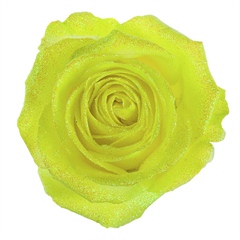 Avalanche Glitter Look Yellow Rose