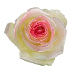 Avalanche Satin Look Pink Rose
