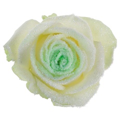 Avalanche Snowy Mountain Green Rose