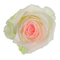 Avalanche Snowy Mountain Orange Rose