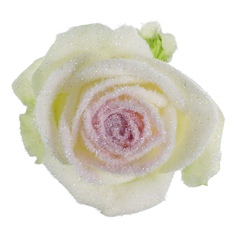 Avalanche Snowy Mountain Red Rose