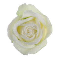 Avalanche Snowy Mountain White Rose